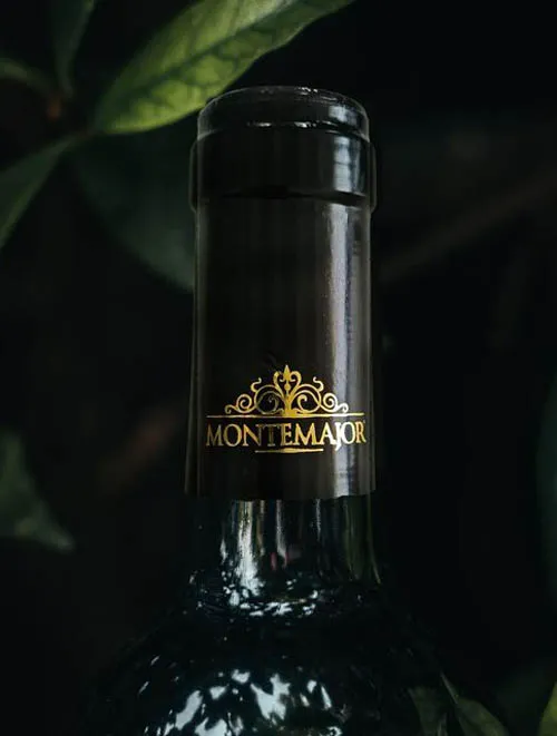 Vang đỏ Fletris Montemajor Special Edition Appasimento Double Oak