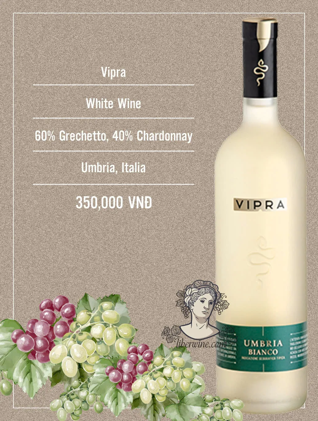 Vang trắng Bigi VIPRA (6 chai/thùng)